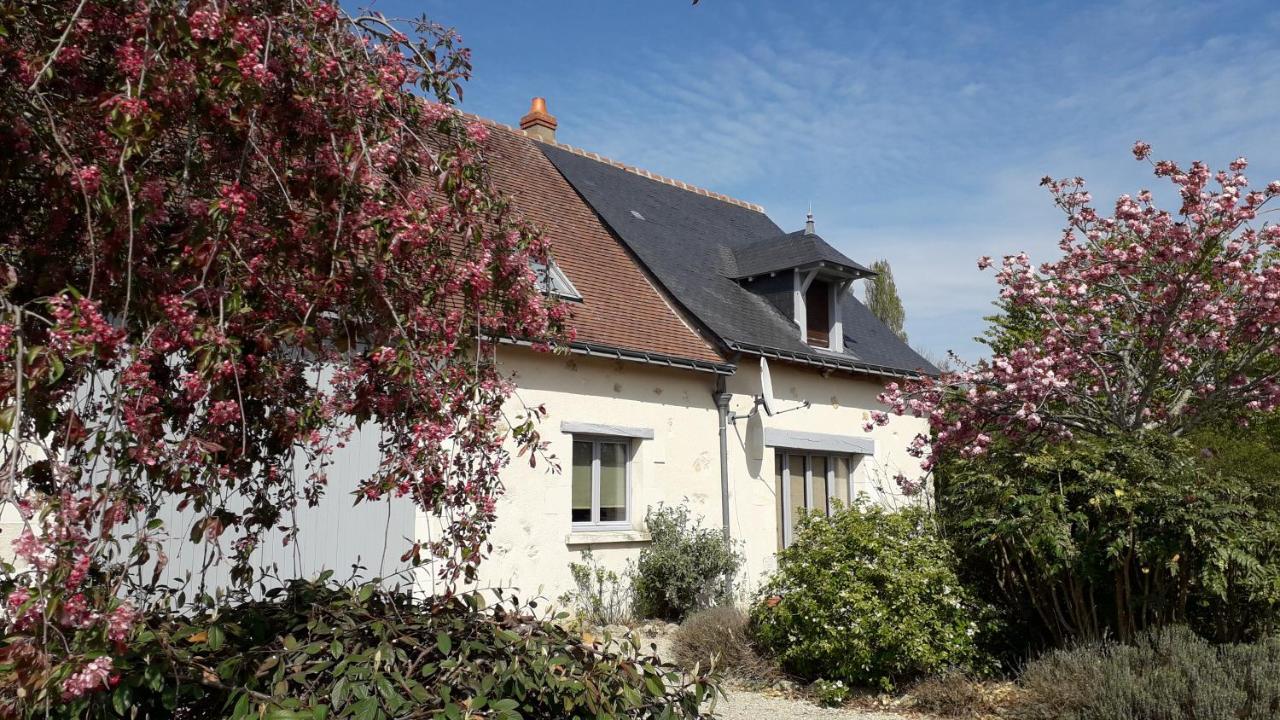 Gite La Fortaiserie Rillé Exteriör bild